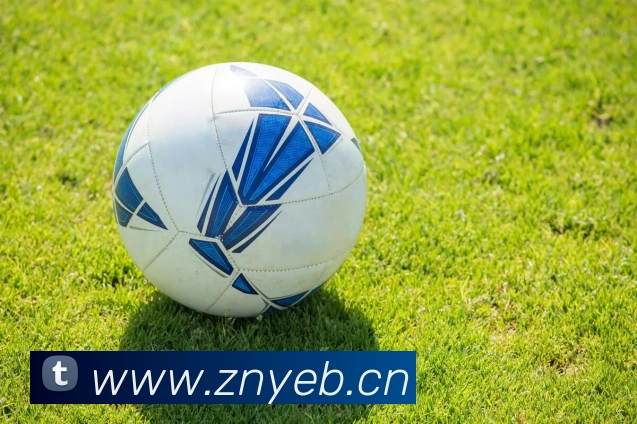 乐鱼官方体育app登录全站App